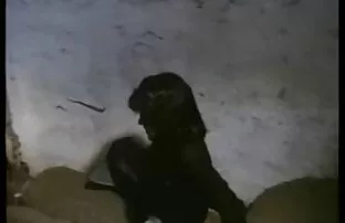 XXX 巨乳熟女キャサリンビデオ日立 女性 用 アダルト 無料 動画