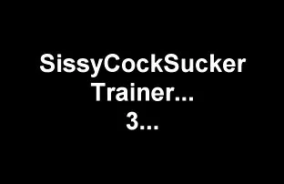 XXX ターレ 女性 アダルト シュガール ホワイトブラジャー 二千八