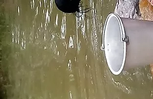 XXX ティーンAshley Adams励起とともに精液 女性 の 為 の 無料 av