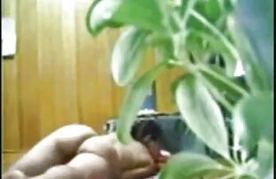 XXX 無垢の欲望2シーン4-再装備 女性 の 為 の 無料 av 動画